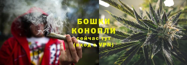 ПСИЛОЦИБИНОВЫЕ ГРИБЫ Аркадак