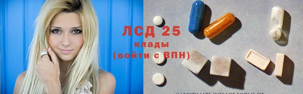 ПСИЛОЦИБИНОВЫЕ ГРИБЫ Аркадак