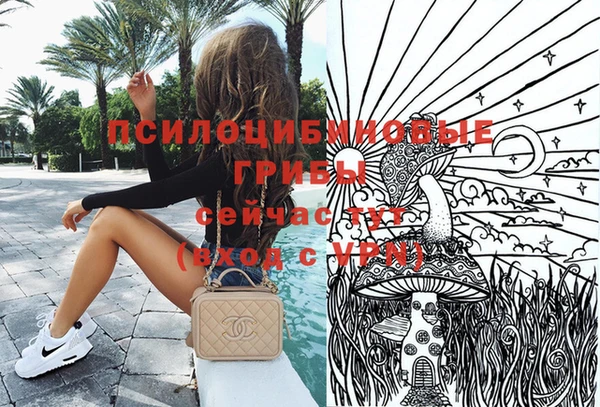 ПСИЛОЦИБИНОВЫЕ ГРИБЫ Аркадак