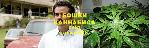 ПСИЛОЦИБИНОВЫЕ ГРИБЫ Аркадак